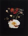 SULTAN, DONALD (1951- ) Pair of still lifes depicting poppies.